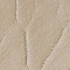 163 Capezio Tan acrylic